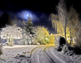 A beautiful landscape of winter in the moonlight