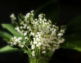A bouquet of lilies of the valley in glass