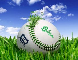 Dodgers ball in the green grass - 3D ball