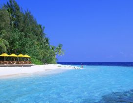 Beautiful landscape - Beach, palms and blue sea