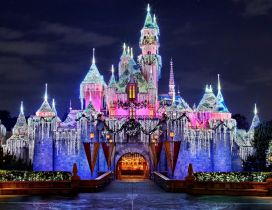 Beautiful Disneyland Castle in the night