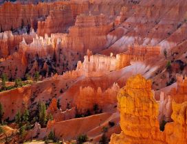 Bryce Canyon National Park in the Utah, United States