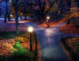 Three paths in the park - night landscape
