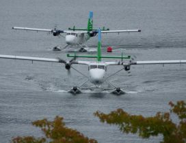 Two white and green seaplanes on the water