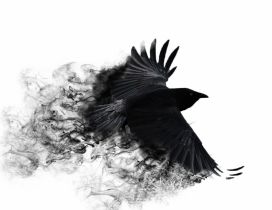 Abstract black crow with broken wings