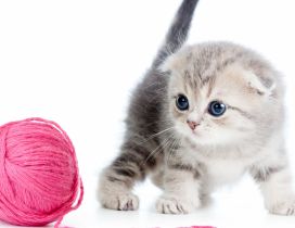 A sweet kitten playing with a ball of pink thread