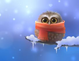A owl with comforter on the frozen branch and full of snow