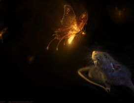 Butterflies with light in night and a mouse