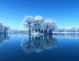 Island in the lake and frozen trees