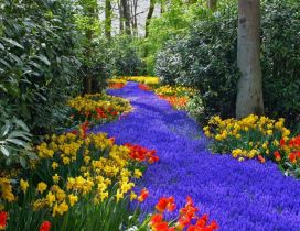 Beautiful colorful flowers - Relaxing nature in the park