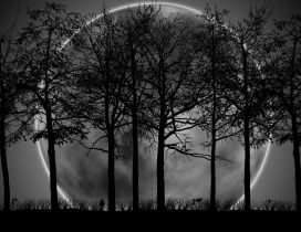 Big moon in the night - Abstract moon