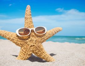 A starfish with sunglasses in the sand