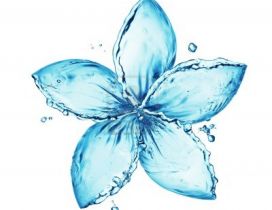 Awesome blue flower made of water