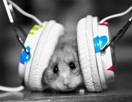 A mouse with headphones - Funny image
