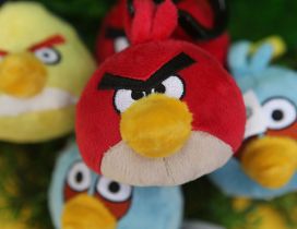 Angry Birds - Plush colored birds