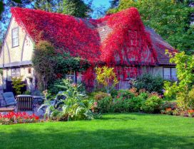 Red flowers on the roof and a beautiful garden