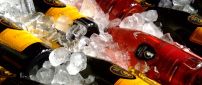 Wine bottles between ice cubes