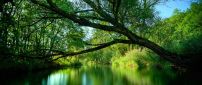 Green magic water - Lovely landscape