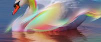 Abstract colorful swan on the lake