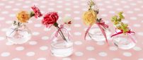 Romantic flowers with bows in bottles