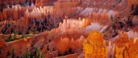 Bryce Canyon National Park in the Utah, United States