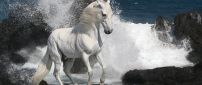 Beautiful white horse beside the rocks in the water