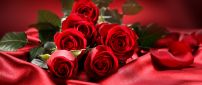 Red roses on the red silk - Love moment