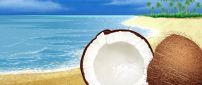 Halved coconut on the sand beach - Summer time