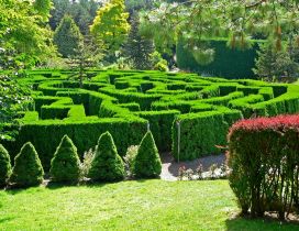 Botanical Garden - Green maze in the garden