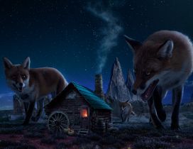 Big foxes in the night under the moonlight - Fantastic image