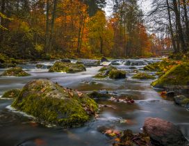 The river and colors of autumn in the forest