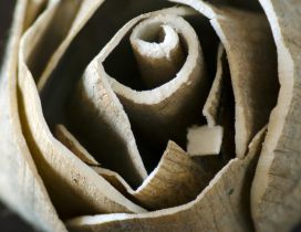 A rose made of wood  - Interesting flower