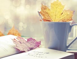Colored leaves in the tea cup and on the book
