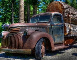 A vintage car loaded with wood in the forest