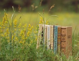 Many old books in the green grass
