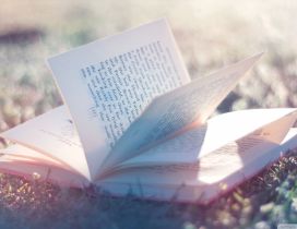 A opened book in the sunlight in the grass