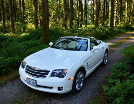 White convertible Chrysler Crossfire in the forest