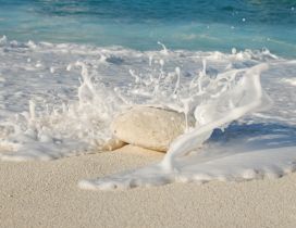 A big white stone in the sand of the beach