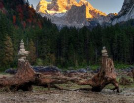 Towers made of tree trunks and stones