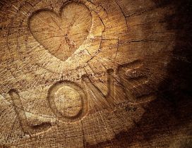 A heart and love letters carved in the wood