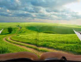 A path through the green grass - A green field in the book