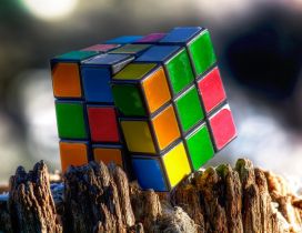 A colorful Rubik cube on the rocks