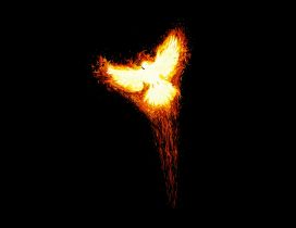 Phoenix bird in the flames - Abstract dark wallpaper