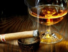 Good cognac and an expensive cigar - perfect night