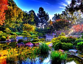 Colorful nature in the sun rays - Japanese Garden Wallpaper