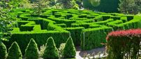 Botanical Garden - Green maze in the garden