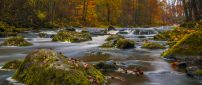 The river and colors of autumn in the forest