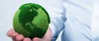 The green earth globe in a hand