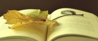 A yellowed leaf on the opened book