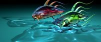 Abstract colorful fish in water - Fish race
